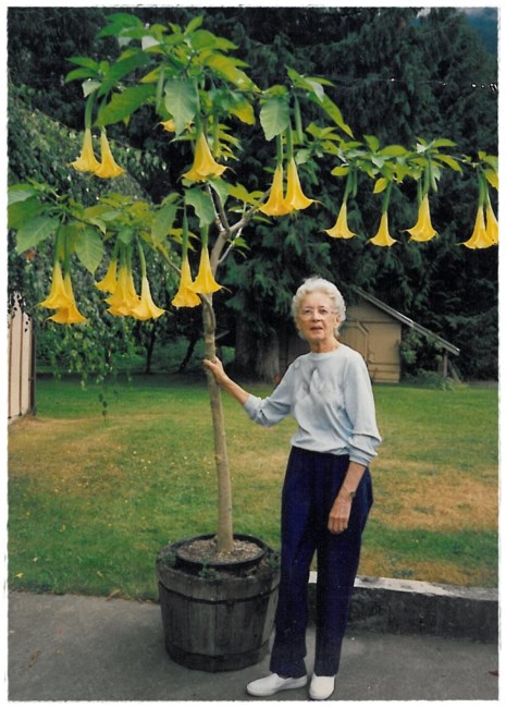 Obituary of Jeannette Bernadette Burgemeister