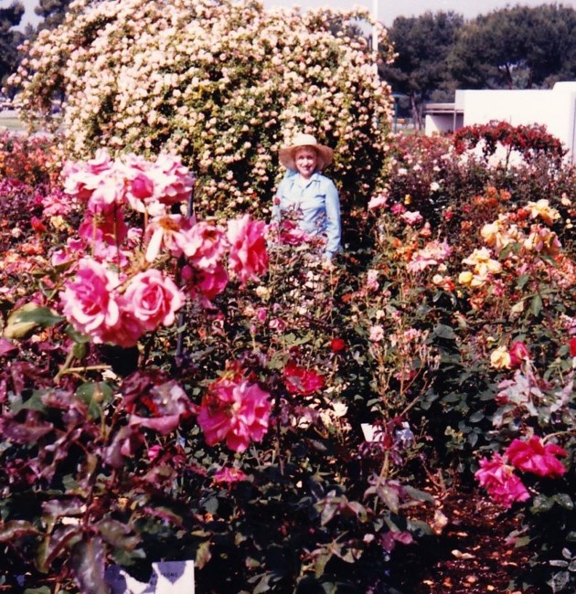 Obituary of Beverly Stillings