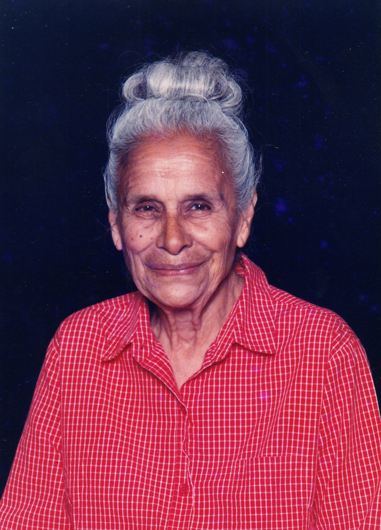 Herminia Flores Obituary - Houston, TX