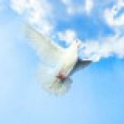 Obituary of Claire Lewis