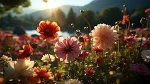 Obituary of Norma Alicia Granados Haro