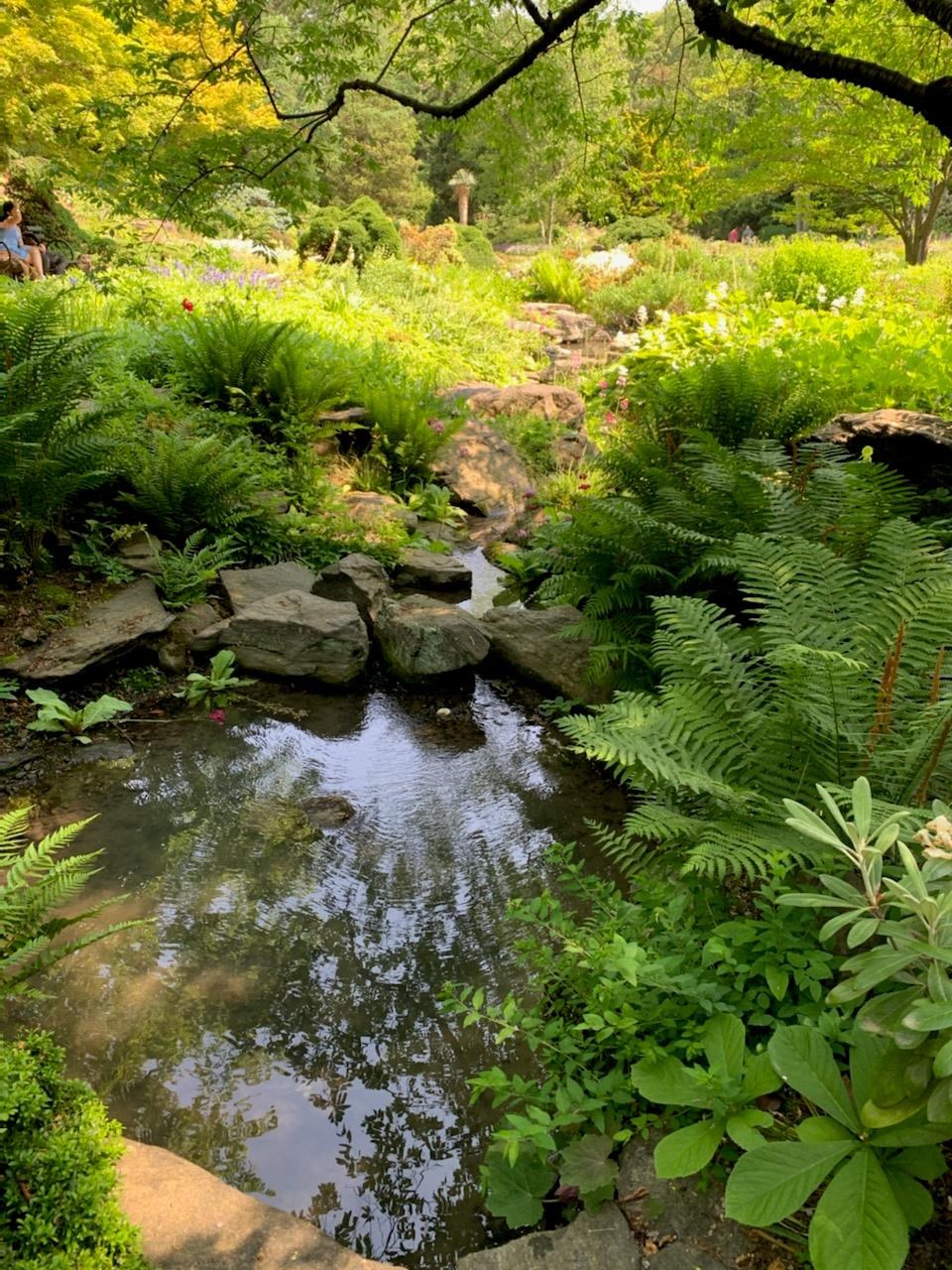 Obituary of Marilyn Friedman