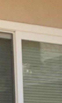 Virginia A Dandridge Obituary - Hemet, CA