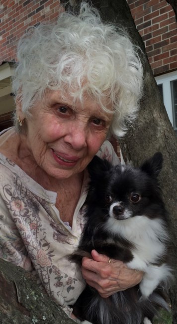 Obituary of Basel B Wowk