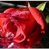Obituary of Derrell Autry Thomas
