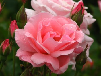 Obituary of Pauline Bennett Matthews