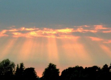 Obituary of Caroline Tarulli