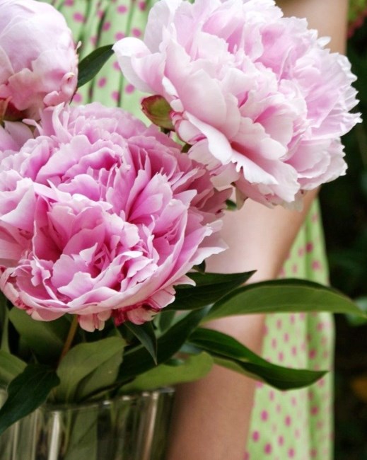 Obituary of Mrs. Mary A. Reese