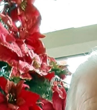 franklin funeral home lynchburg va Annamarie Klinger