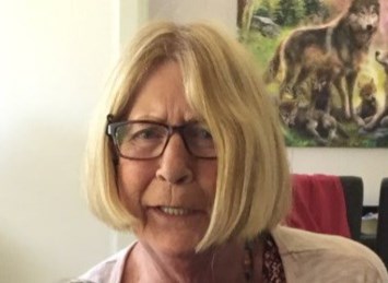 Obituary of Susan Lee Malczynski