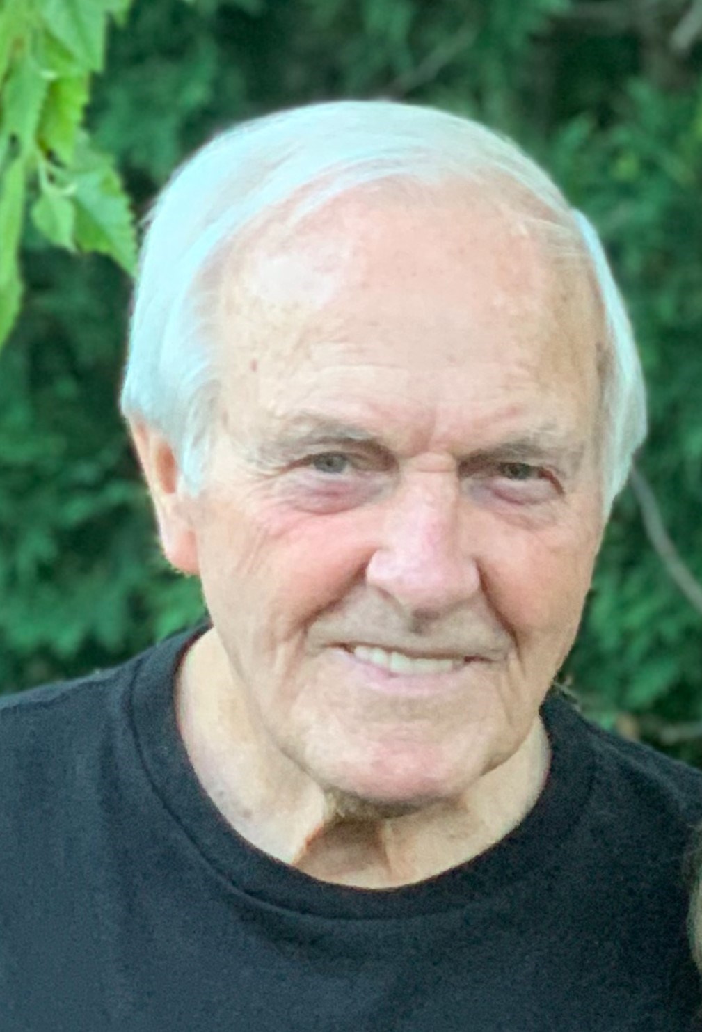 Harry Cruikshank Obituary Des Plaines, IL