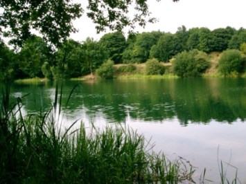 Obituary of Lia Esther Rosales