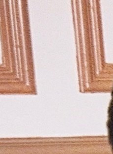 Marjorie Rinaldo Obituary - Machesney Park, IL