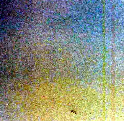 Ellen Doherty Obituary - Columbia, MD