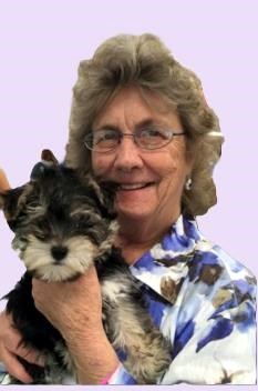 Obituary of Patricia Ann Grimmer