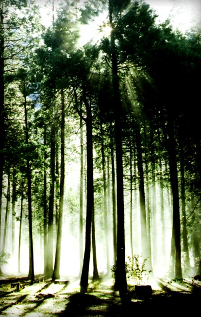 Obituary of Charles Jensen