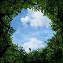 Obituary of Richard Allen Risteen