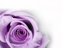 Obituary of Arlene Joyce Martin