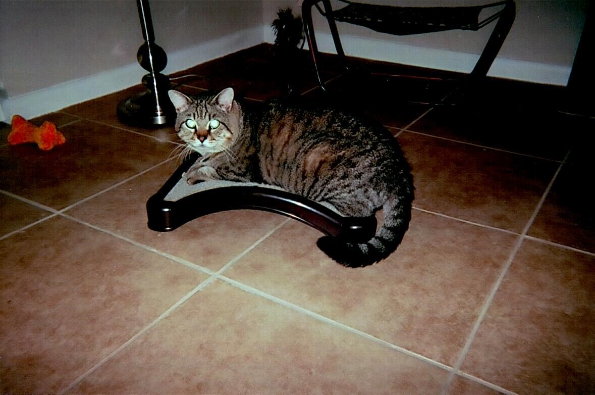 Aurora Wade Obituary Naples Fl