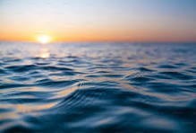 Obituary of Cruz David Luna Castro