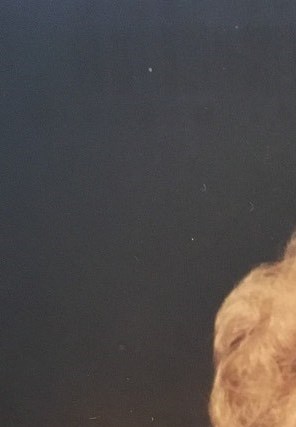 Dixie Eldora McMahon Obituary Jackson, TN