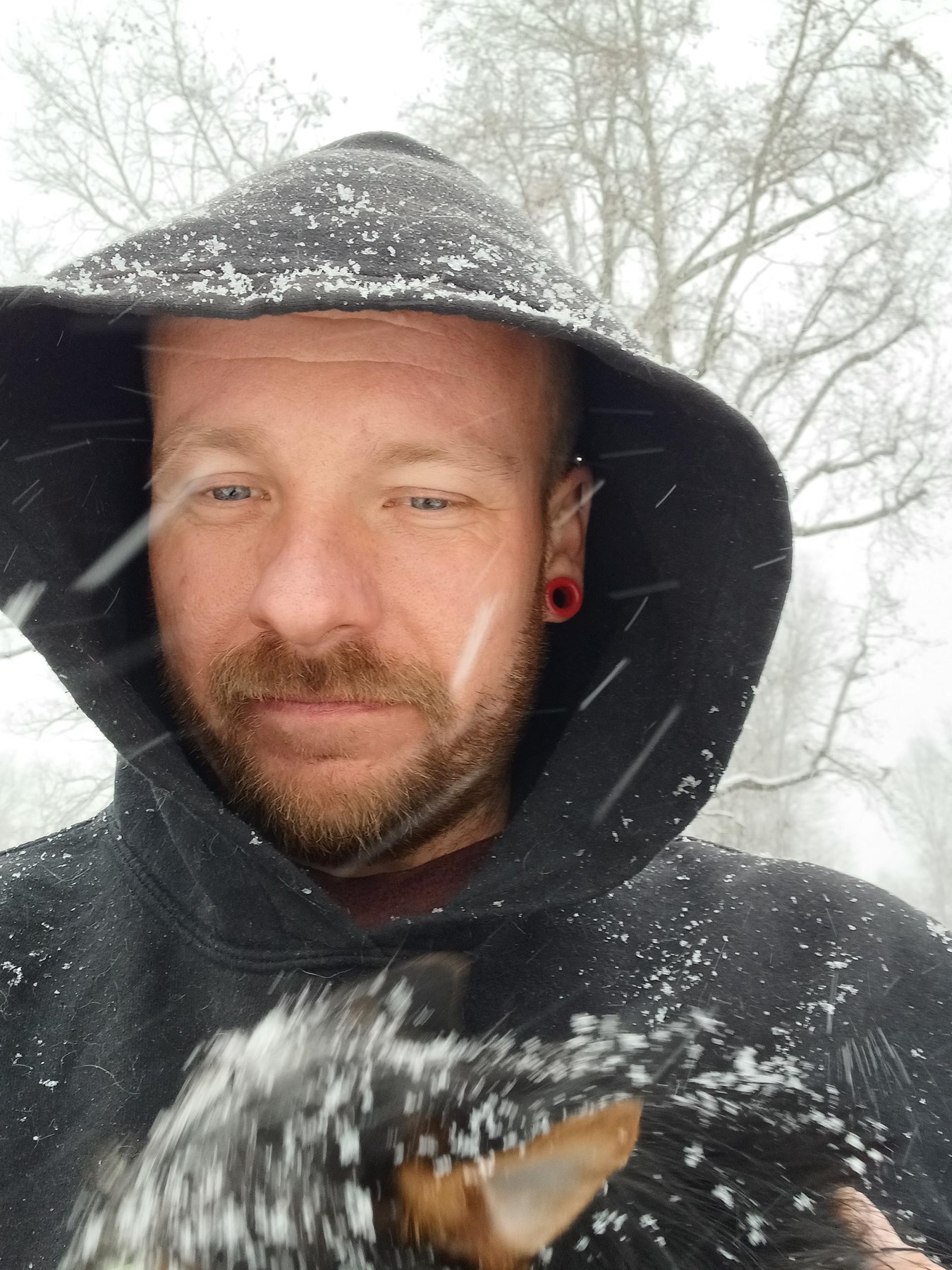 Obituary of Michael Eugene Tyree