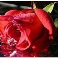 Obituary of Cheryl Diane Baker