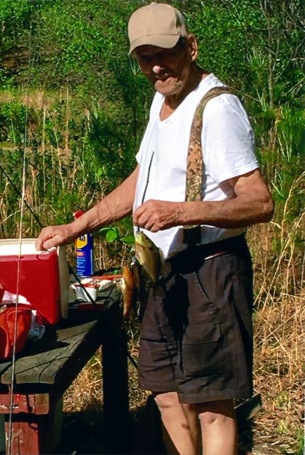 Obituary of Mr. David Franklin Newton