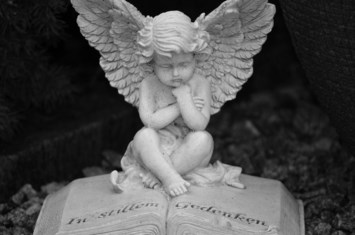 Obituary of Mallory Xiao Mei Vang