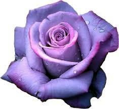 Obituary of Liria Naranjo