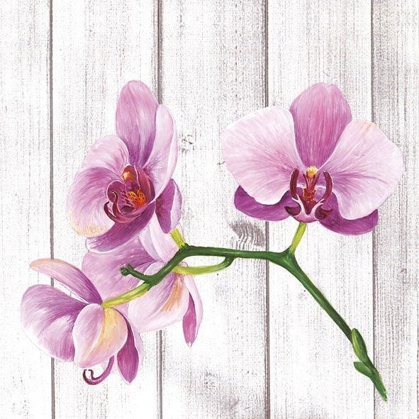 Obituary of Michael Frederick Pignataro