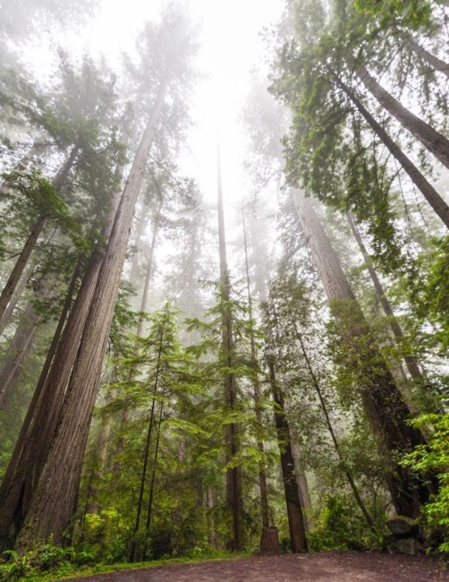 Obituary of John Joseph Falbe