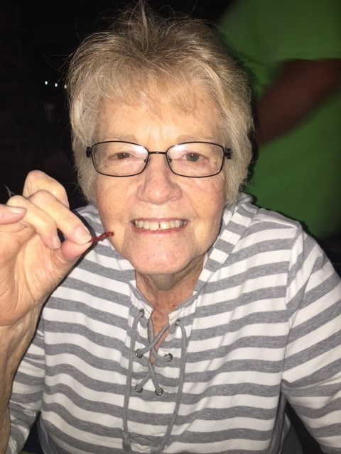 Obituary of Sandra Jenkins Harbuck