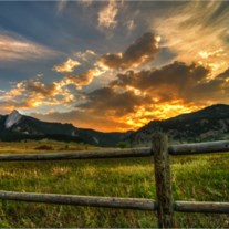 Obituary of Susan Irene Bolwell