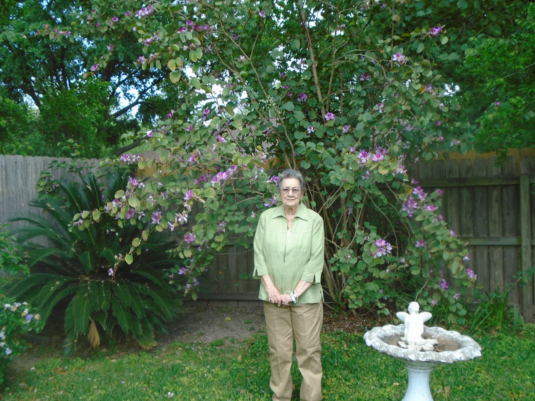 Obituary of Dorothy Driskel