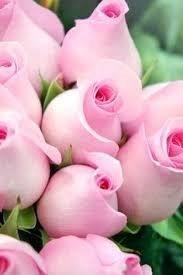 Obituary of Elaine Richmond