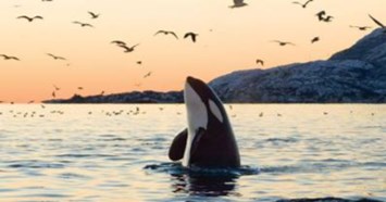 Obituary of James Malcolm Smith