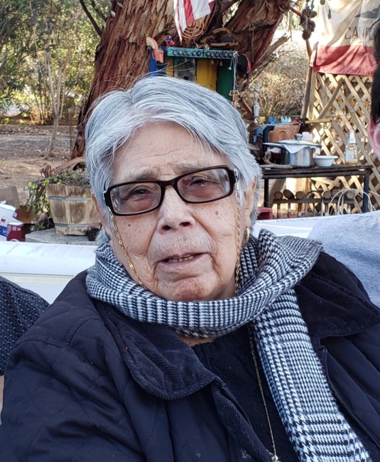 Obituary of Maria Guadalupe Olivares Ibarra