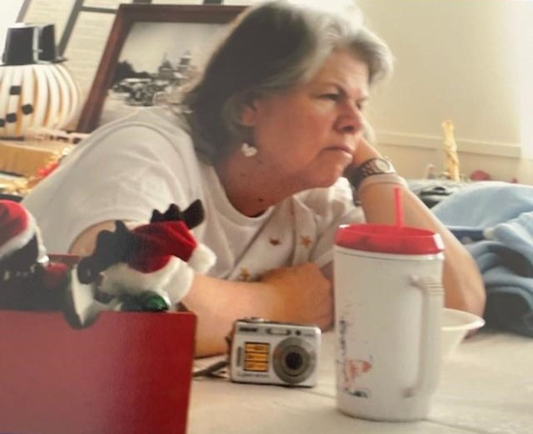 Obituary of Ms. Janice "Cissy" Lea Fannin