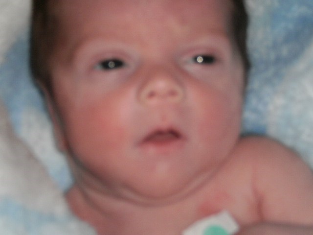 Blade Brewer Obituary Lawrenceburg Tn