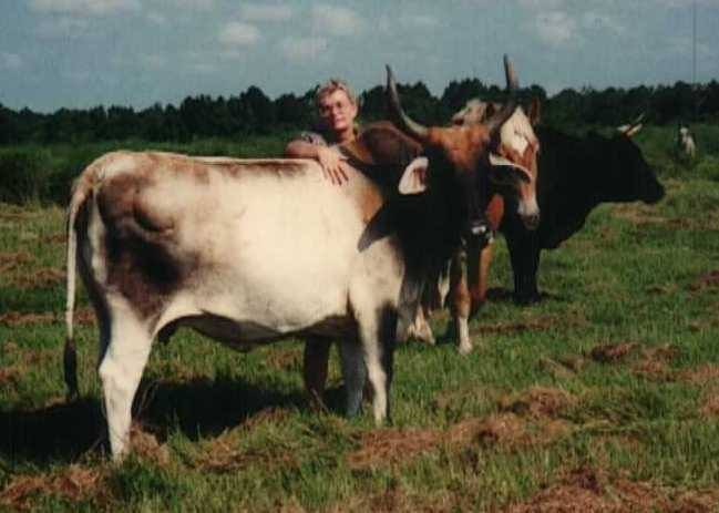 Obituary of Gloria Jean Wells McElroy