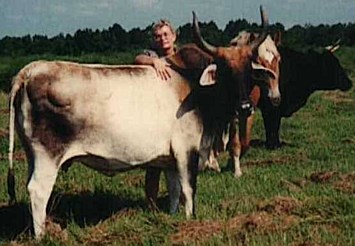 Obituary of Gloria Jean Wells McElroy