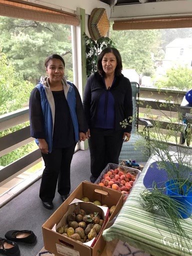 Obituary of Ivete Helena Tavares