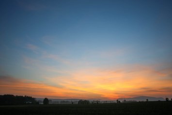 Obituary of Eleanor Anne Morales