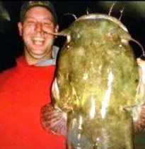 Obituary of Donald Travis Travis Harper Jr.