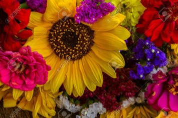 Obituary of Florence McLaughlin