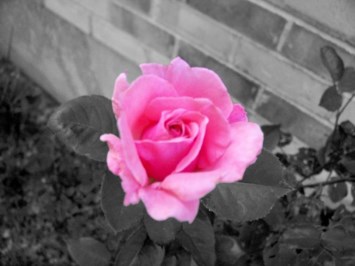 Obituary of Ruth Spiegler