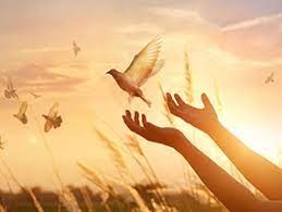 Obituary of Pedro Garcia