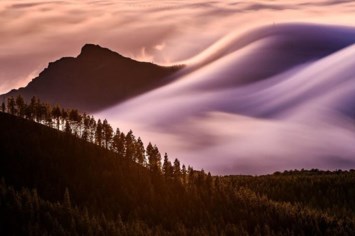 Obituary of Carolyn Fay Hutchison