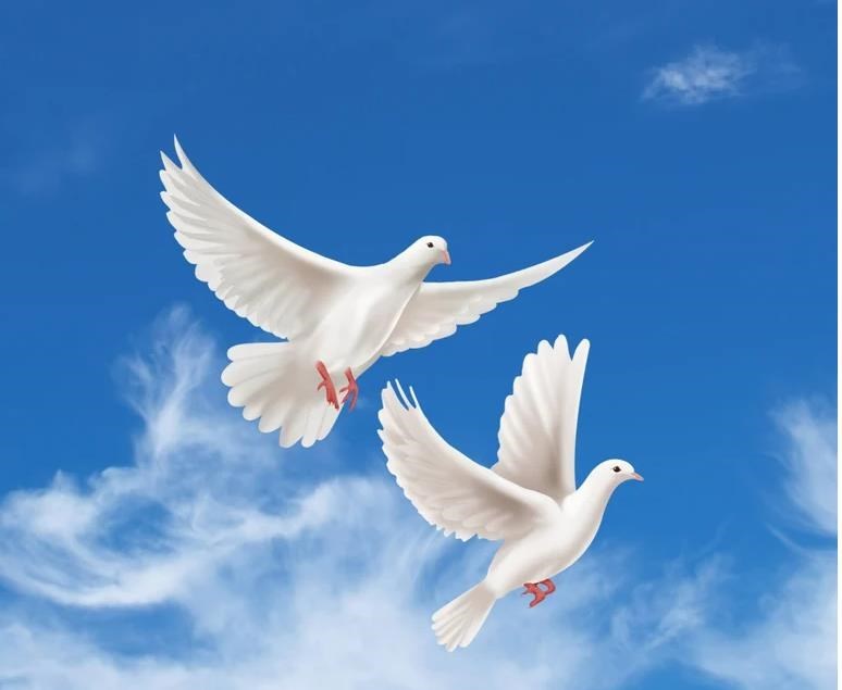 Obituary of David Garcia